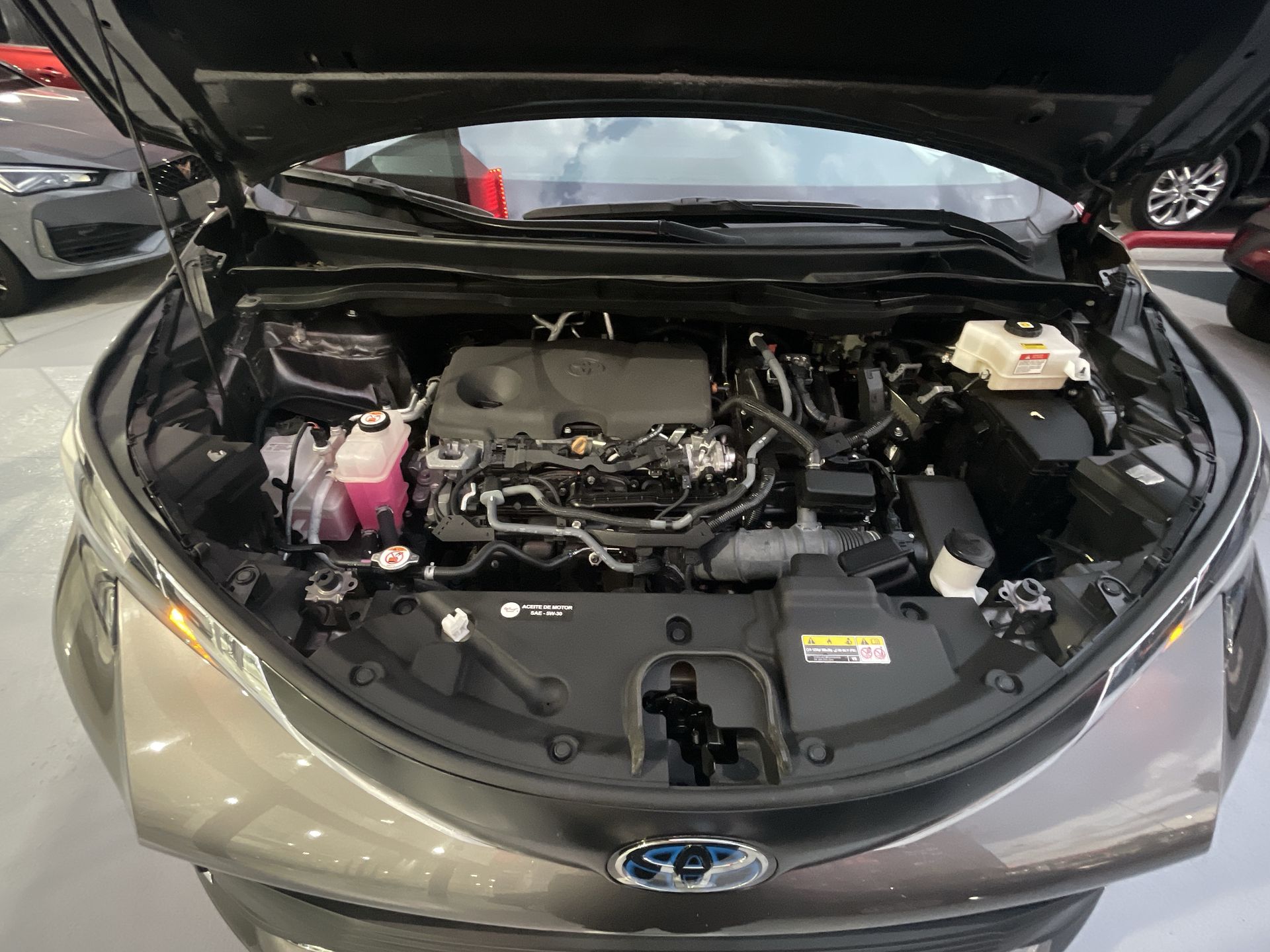 2022 Toyota SIENNA XLE PIEL