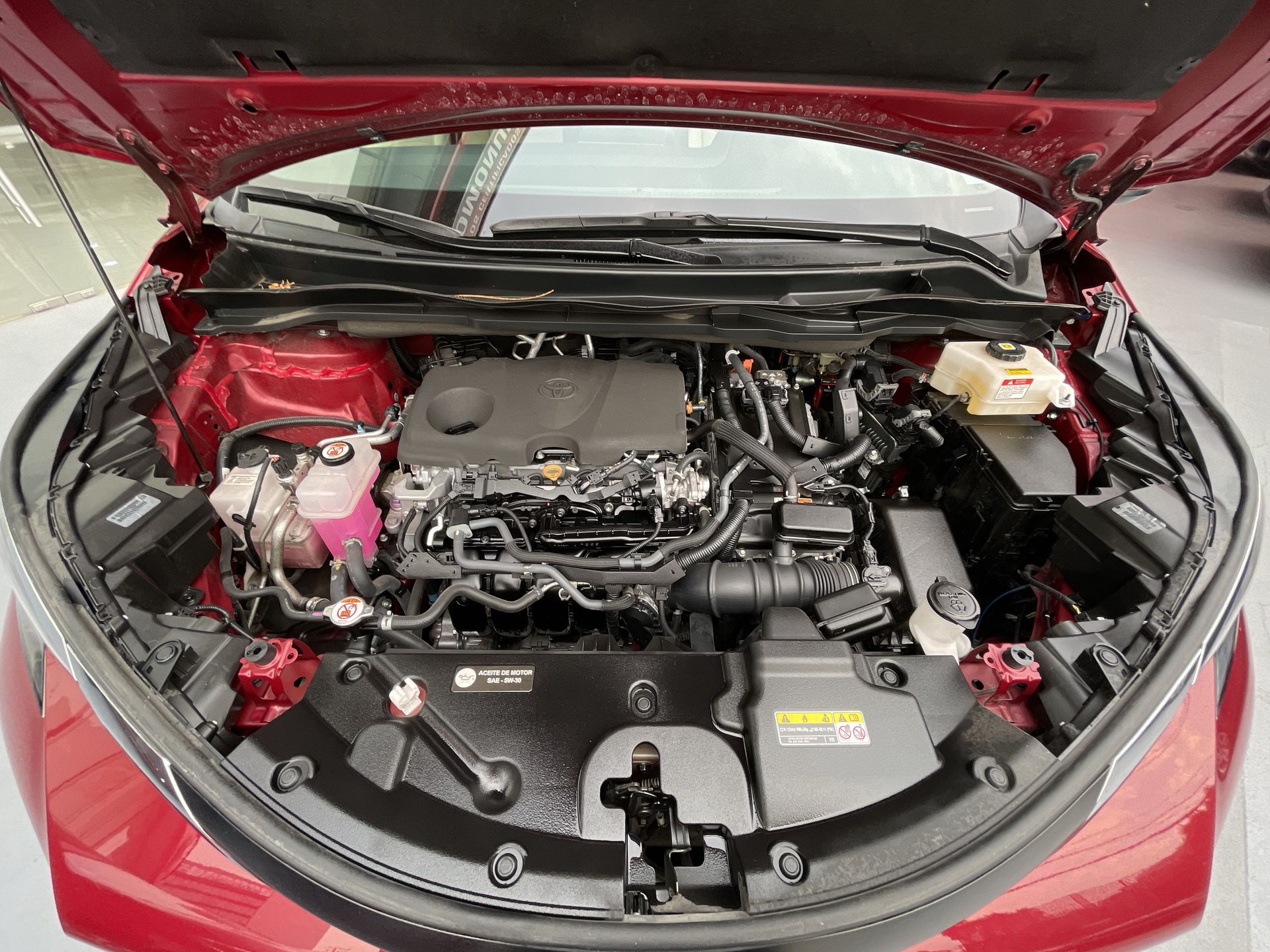 2023 Toyota SIENNA XLE PIEL