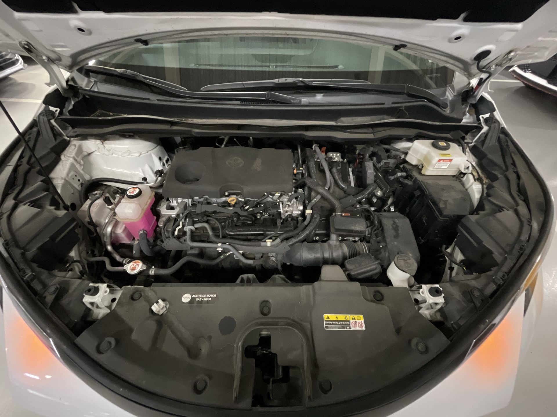 2022 Toyota SIENNA XLE PIEL