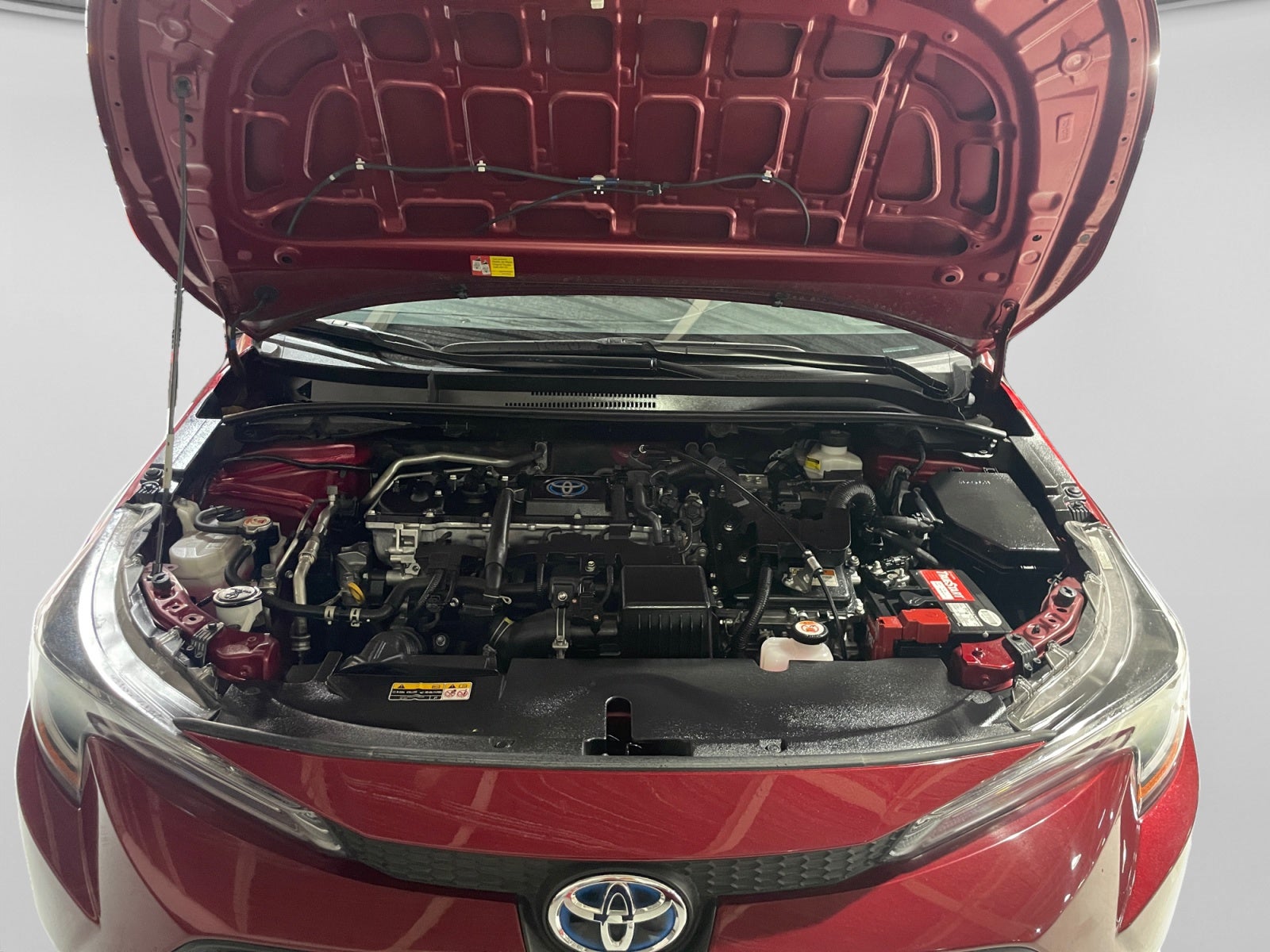 2023 Toyota COROLLA LE HEV