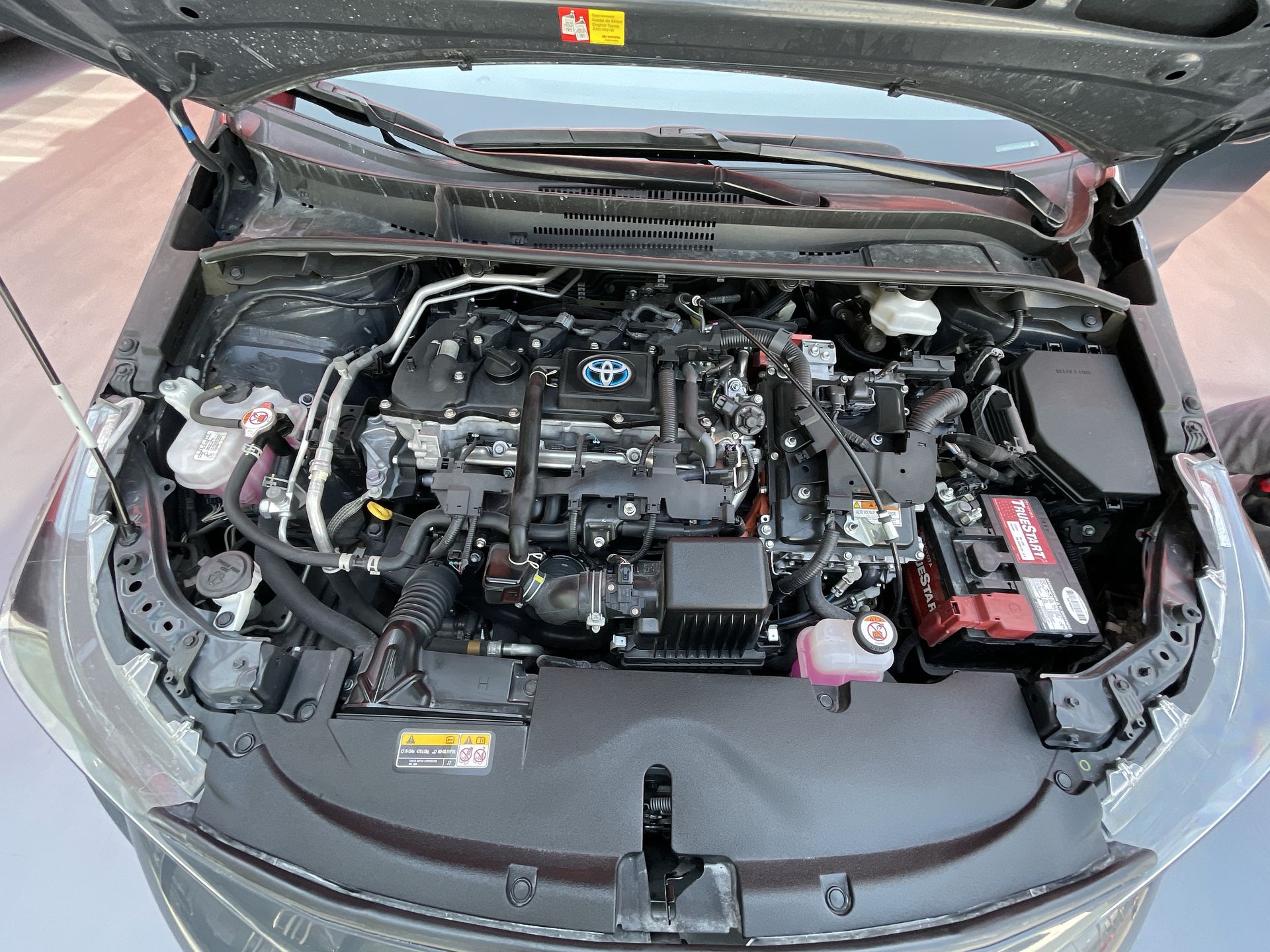 2023 Toyota COROLLA LE HV