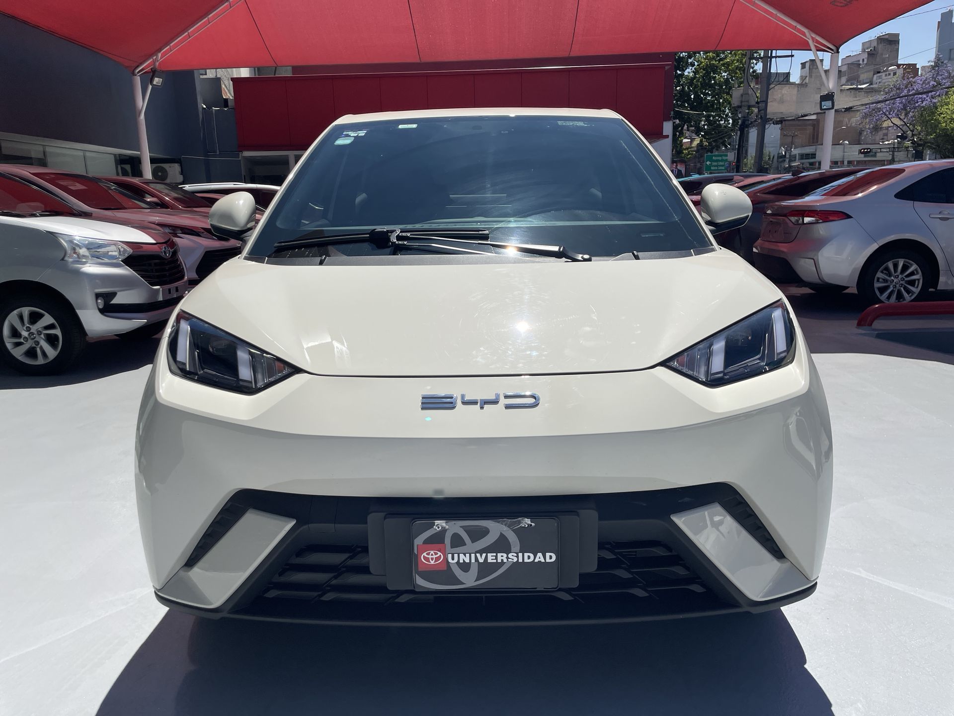 2025 BYD DOPLHIN 4 SEATS 380KM