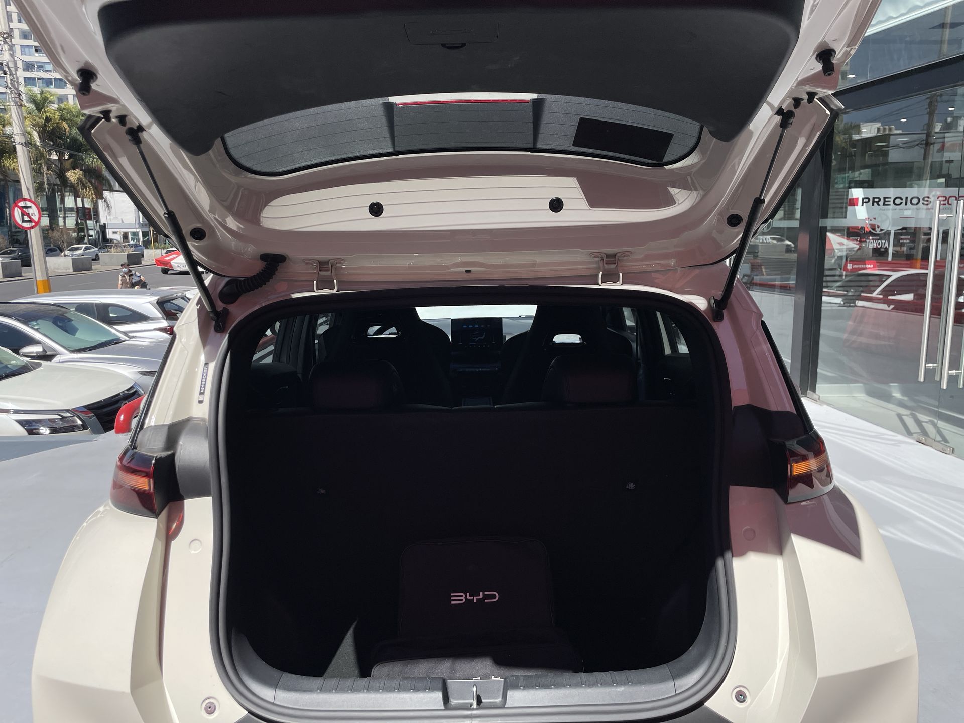 2025 BYD DOPLHIN 4 SEATS 380KM