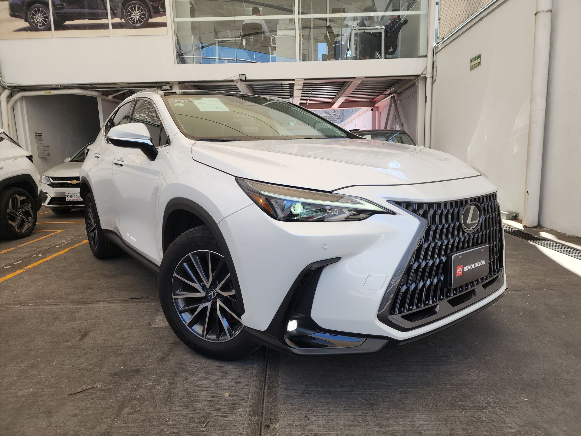 2025 Lexus LEXUS NX 250 AWD BASE