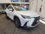 2025 Lexus LEXUS NX 250 AWD BASE