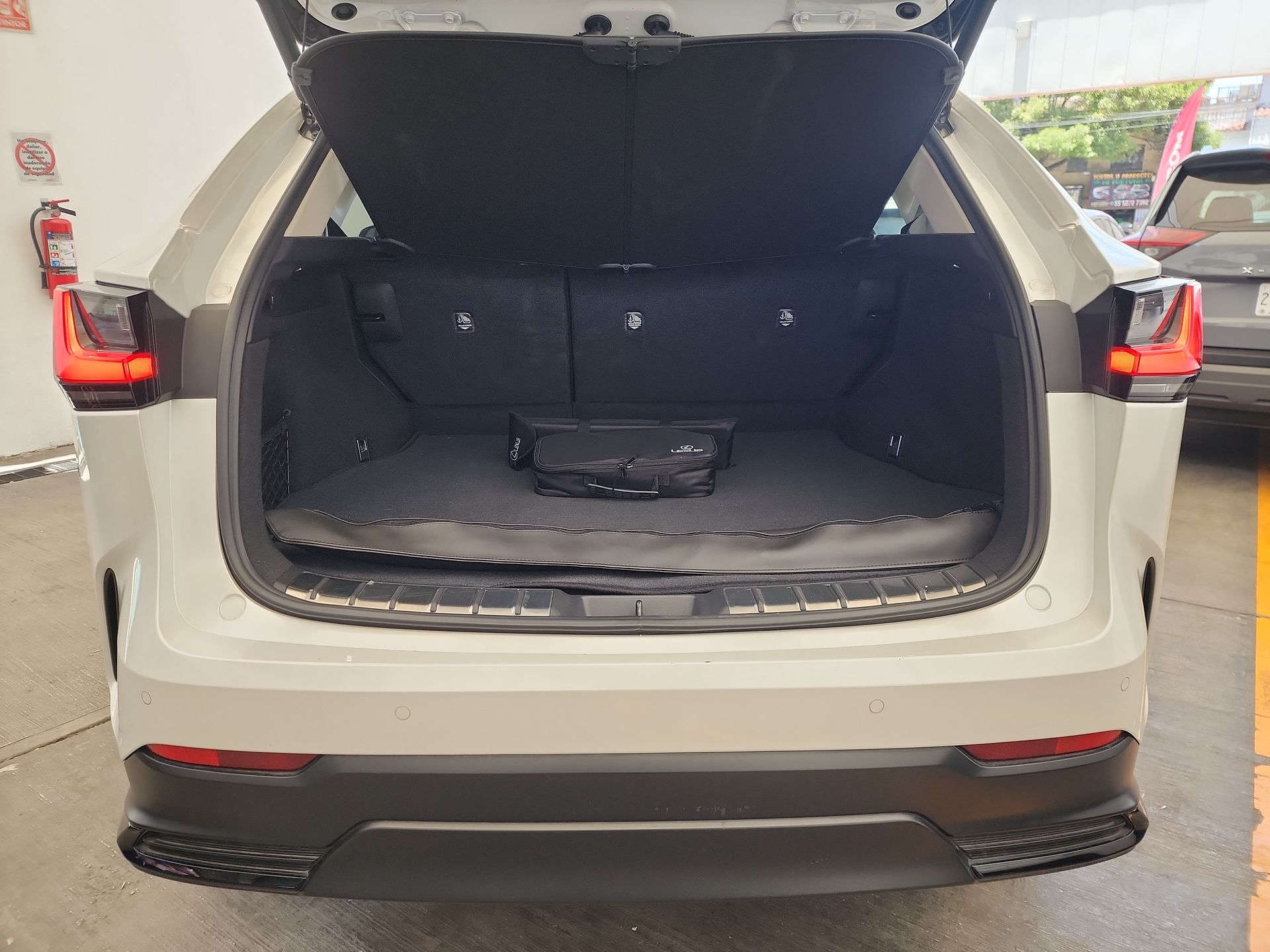 2025 Lexus LEXUS NX 250 AWD BASE