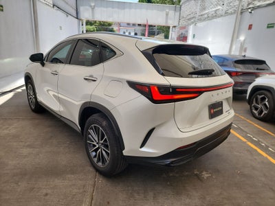 2025 Lexus LEXUS NX 250 AWD BASE