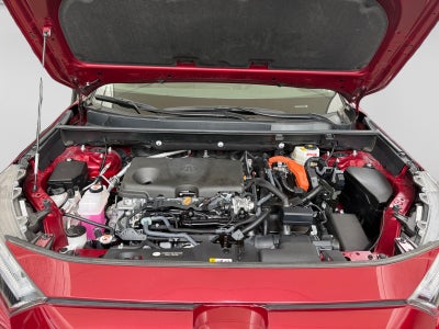 2025 Toyota RAV4 LTD HEV