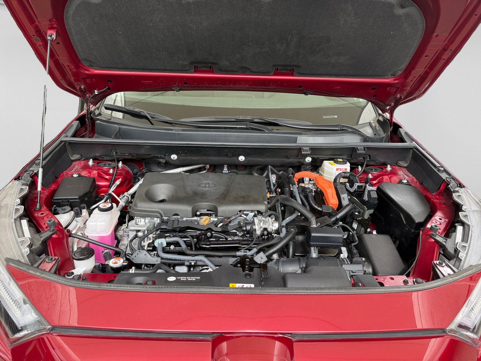 2025 Toyota RAV4 LTD HEV