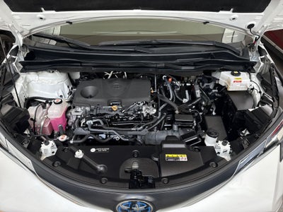 2023 Toyota SIENNA XLE PIEL