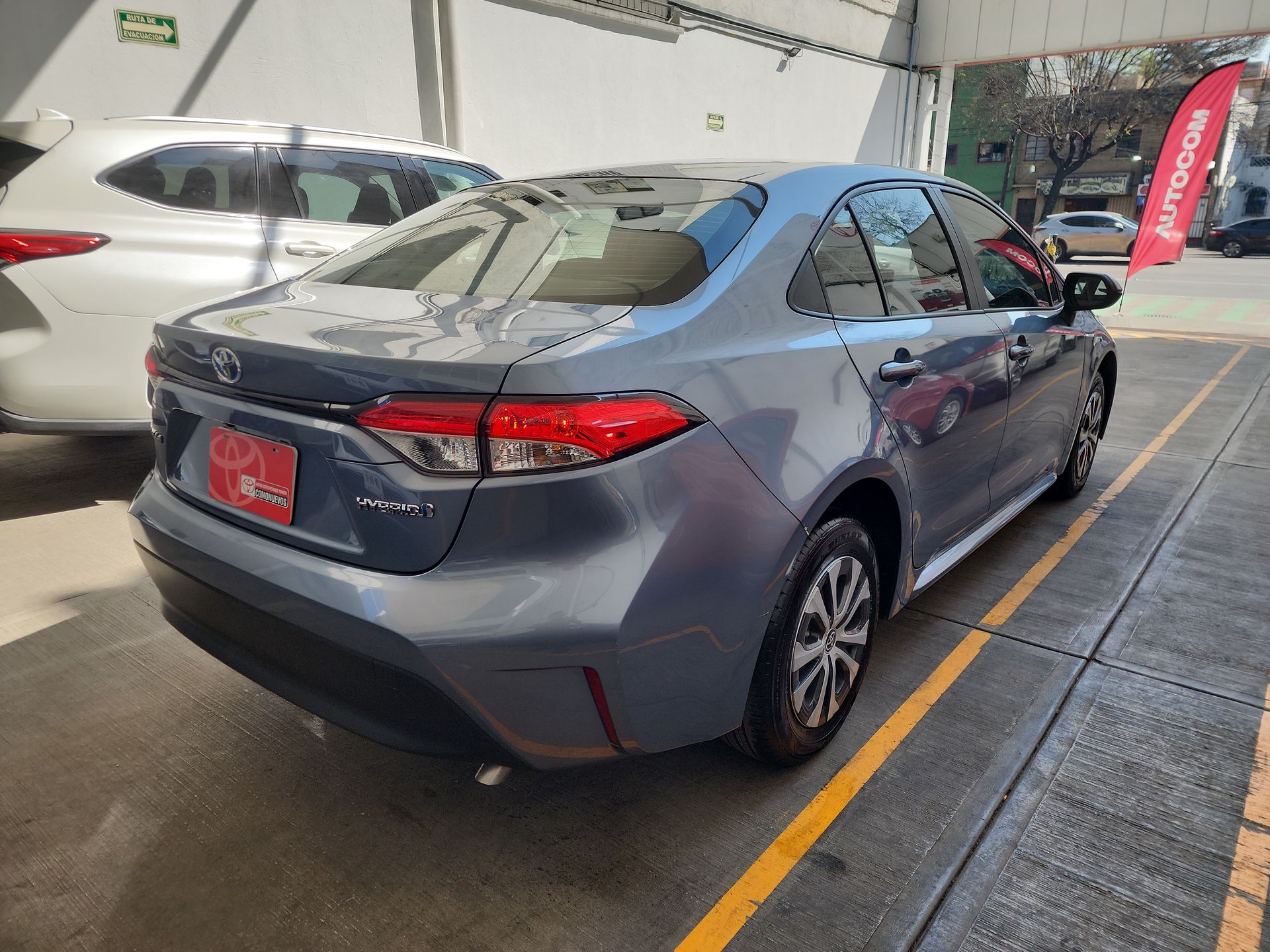 2024 Toyota COROLLA LE HEV