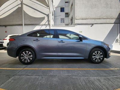 2024 Toyota COROLLA LE HEV