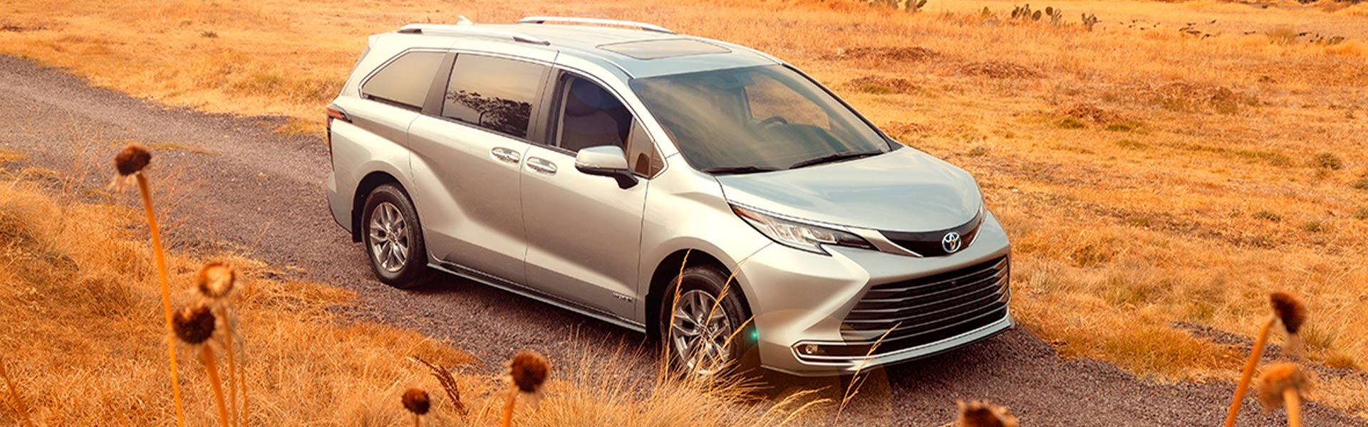 Toyota Revolución in CDMX CDMX